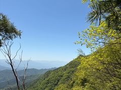 -王顺山国家森林公园