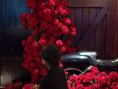 -碧特博格啤酒花园餐厅(芜湖路店)