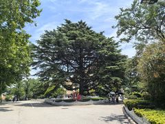 -青岛德国总督楼旧址博物馆