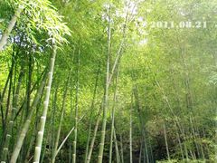 -宁波五龙潭景区