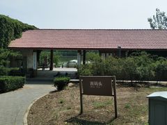 -大兴滨河森林公园