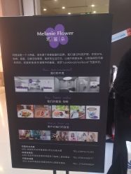 -玛莲朵·海菲秀冰珀科