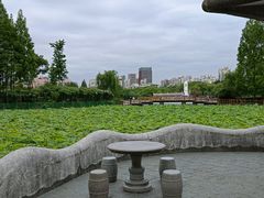 -黄兴公园