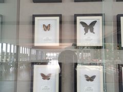 -南通洲际绿博园