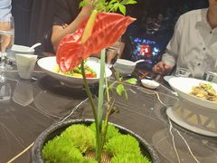 -沈灶河豚宴·河豚融合餐厅(汉中路店)