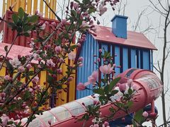 -合肥滨湖国家森林公园