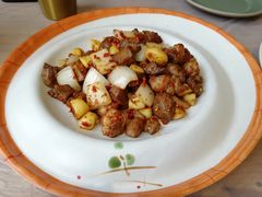 孜然羊肉-东土食研所(渔港路店)