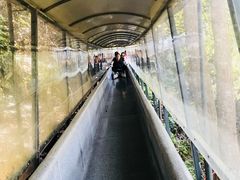 -龙湾潭国家森林公园