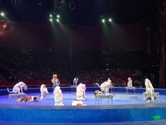 -珠海横琴长隆《卡卡虎奇遇记》