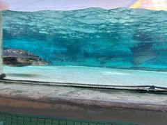 -新加坡水上探险乐园