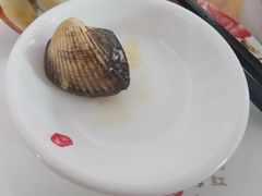 没开口的螺-叶姐海鲜(棋子湾店)
