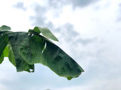 -天地生态农庄