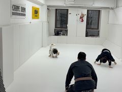 -菠萝格斗巴西柔术训练馆