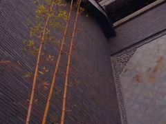 -龙潭水乡