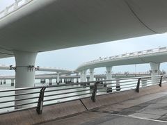 -演武大桥观景平台