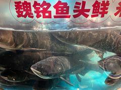 -魏铭鱼头捞饭(晋阳路店)