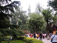 -莲湖公园