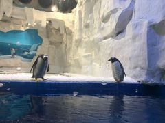 -华夏文旅海洋公园