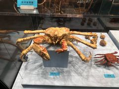 -天津自然博物馆