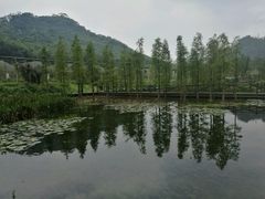 -广州市石门国家森林公园