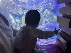 -太平洋海底世界