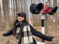 -黄海国家森林公园