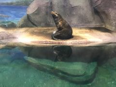 -福州罗源湾海洋世界旅游区