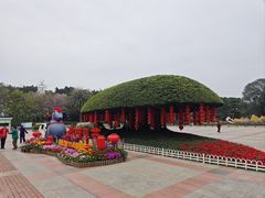 -南宁南湖公园