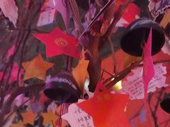 -长藤鬼校(观音桥店)