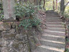 -南岳衡山风景名胜区