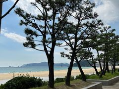 -海云台海滩