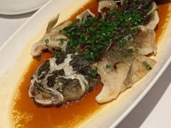 -南麓·浙里(外滩店)