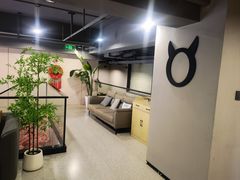 -猫窝棋牌(尚大国际店)