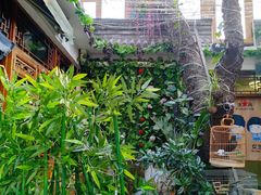 -丽江庭院·云南野生菌·海鲜火锅(鼓楼四合院店)