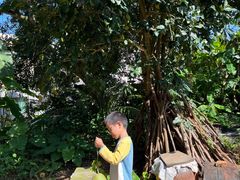 -东寨港红树林旅游区