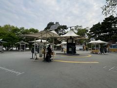 -长春市南湖公园