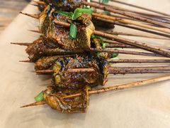 -晓靖轩烧烤(沙河风情店)