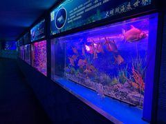 -大明湖海底世界