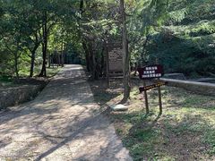 -金龙寺国家森林公园