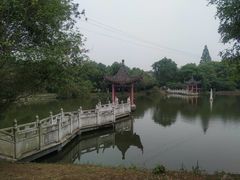 -青龙山国家森林公园