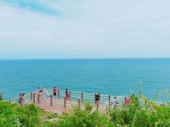 -广东惠东海龟国家级自然保护区