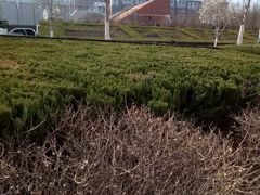 -山东大学(兴隆山校区)