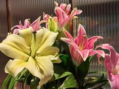 -鑫小城故事·藕汤·家常菜(台北一路总店)
