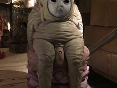 -北京三里屯CHAO酒店