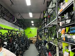 -道路口单车爱瓦士dahon大行