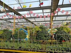 -南宫五洲植物乐园