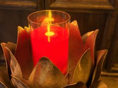 -叶叶菩提(太原别墅店)