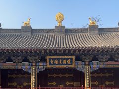 -护国法轮寺