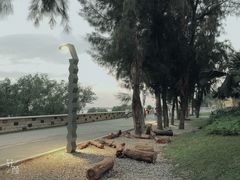 -宝安西湾红树林湿地公园