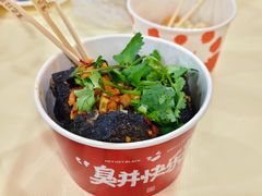 -黑色经典臭豆腐·湖南特产(太平街口店)